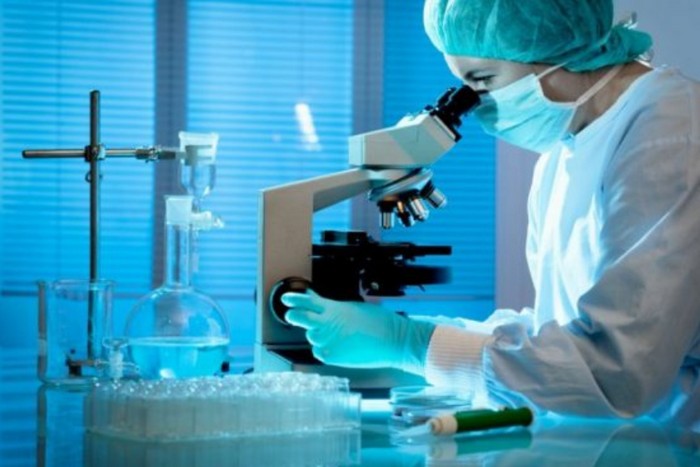 Кексалар умрини узайтириш йўли топилди